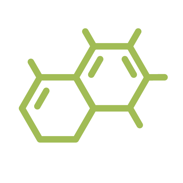 Mikronährstoffberatung und Diagnostik